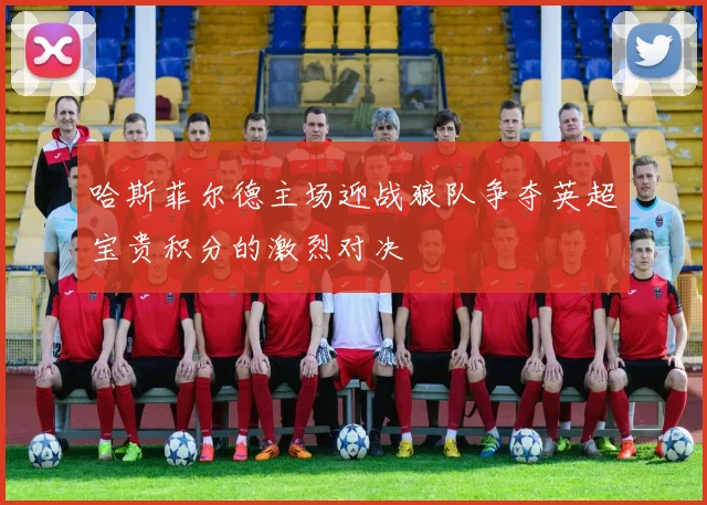 哈斯菲尔德主场迎战狼队争夺英超宝贵积分的激烈对决